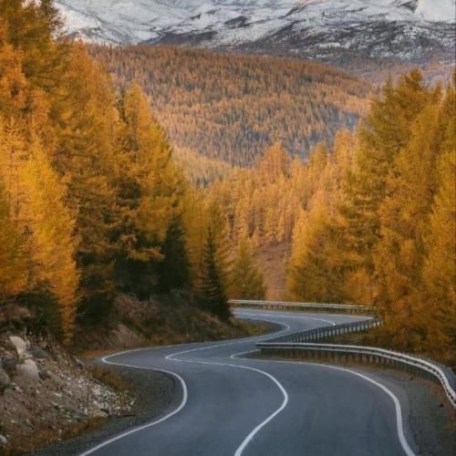 دانلود آهنگ دخی با دلم میکنه بازی بازی منم بازیو بلدم