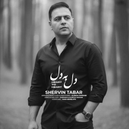 دانلود آهنگ دل به دل از شروین تبار