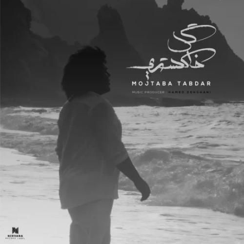 دانلود آهنگ گل خاکستری از مجتبی تابدار