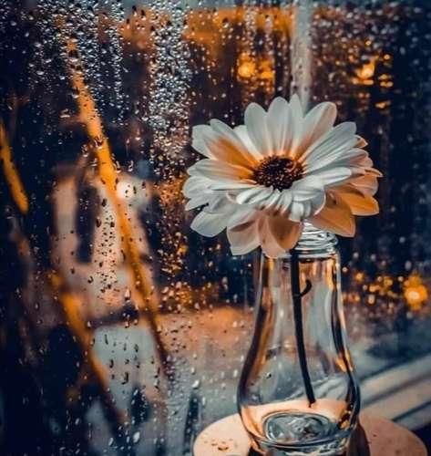 دانلود آهنگ خودت میدونستی چقد دیوونتم بگو اونور دنیا