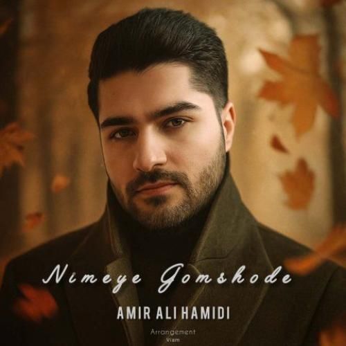 دانلود آهنگ نیمه ی گمشده از امیر علی حمیدی