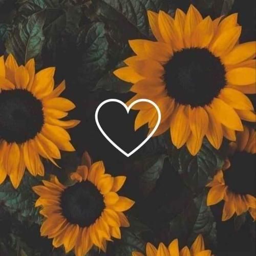 دانلود آهنگ یادته گفتی پیشمی تا ته تهش چجوری میخوابی