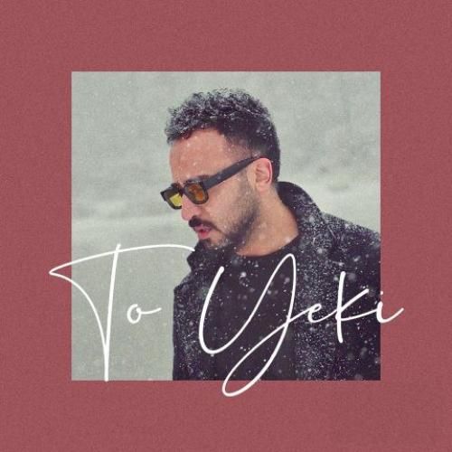 دانلود آهنگ تو یکی از پدرام شانه ساز