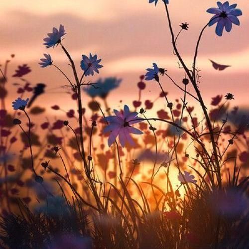 دانلود آهنگ یکم حالم بده کوکین زدم با یه خره 