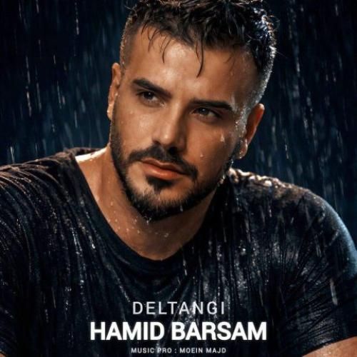 دانلود آهنگ دلتنگی حمید برسام