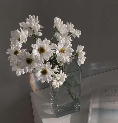 دانلود آهنگ ﭘﻴﺪا ﻛﺮدم آدﻣﺸﻮ ﺑﺎ ﺗﻮ ﻣﻴﺮم ﺗﺎ ﺗﻬﺸﻮ 