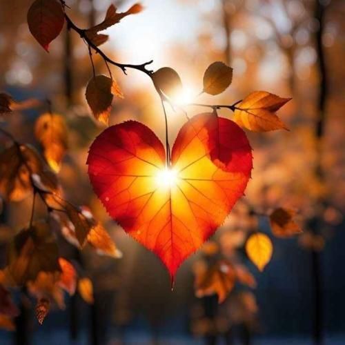 دانلود آهنگ یه آدم شوآف منفی زنی چیکار کردی