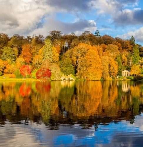 دانلود آهنگ گفتم دوست دارم با اینکه یه خورده زود بود