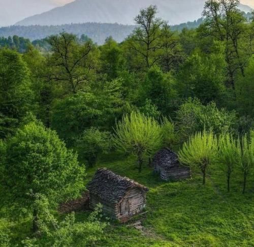 دانلود آهنگ با پای پیاده زدم توی قلب اجتماع نمیدونستم 