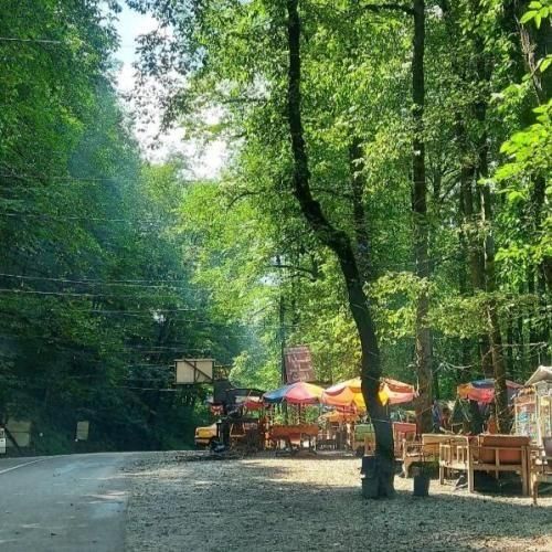 دانلود آهنگ رنگ چشات عسل طعم لبت عسل 