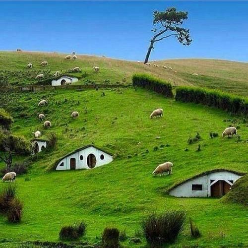 دانلود آهنگ گردن من ننداز اصلا این حال مصدومتو 