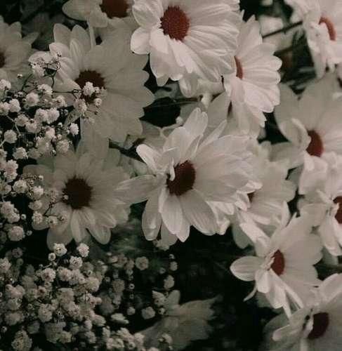 دانلود آهنگ اگه ببینم دور گردنت یک طنابه از سقف آویزونی مهم نیست واسم 