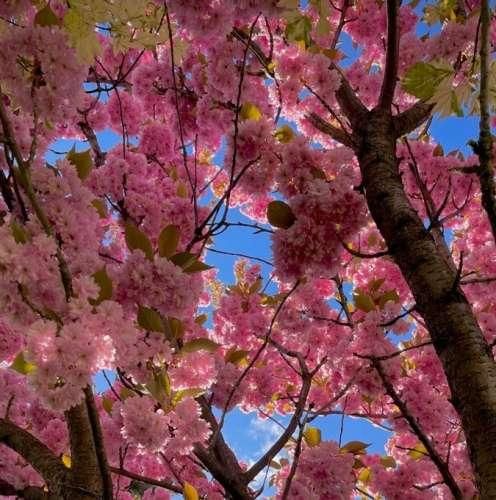 دانلود آهنگ اینجا از سایه و همسایه ی خودم میترسم 