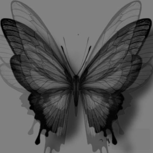 دانلود آهنگ وقتی بهت میگم مراقب خودت باش یعنی میمیرم