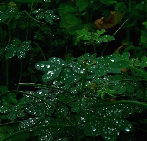 دانلود آهنگ چشمت سیاه بود مثل آیندمون مثل ایران بود