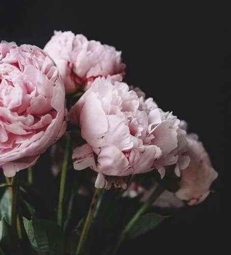 دانلود آهنگ منو چه به حال خوب چه سگ دو هایی که نزدم واسه پول