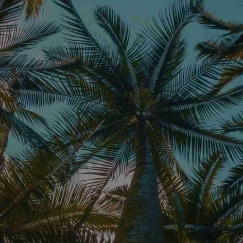 دانلود آهنگ دو تا جلو دوتا عقب پلی آغاسی سنگی از معدن درد