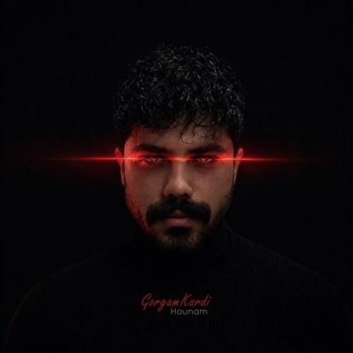 دانلود آهنگ گرگم کردی هونام