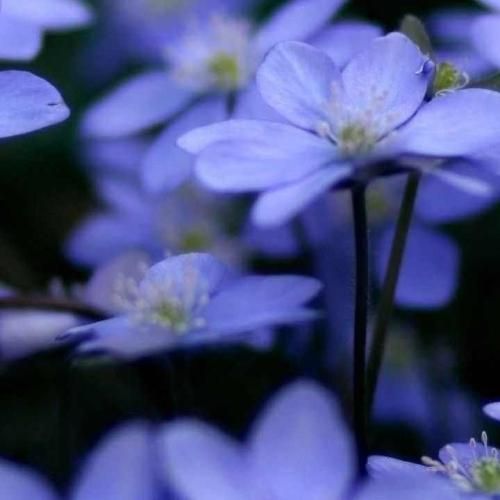 دانلود آهنگ درسته تنهایی خوبه ولی گاهی وقتا عذابم میده