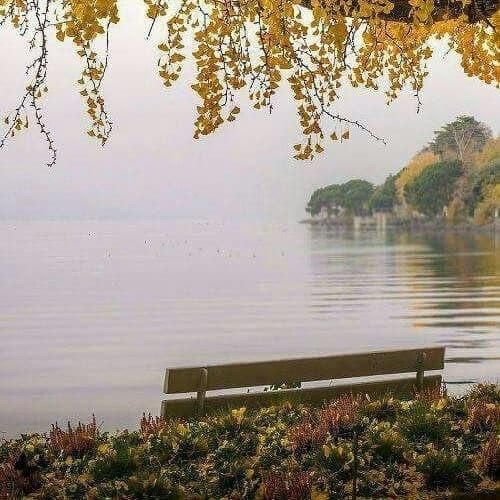 دانلود آهنگ من ازت ناراحتم رفتن برای تو کاری نداشت 