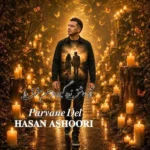 پروانه دل حسن عاشوری پروانه دل حسن عاشوری