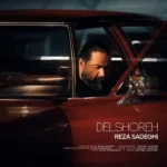 دلشوره رضا صادقی
