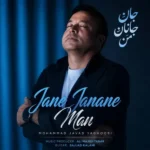 جان جانان من محمد جواد یعقوبی