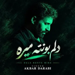 دلم بهانه تو میگیره