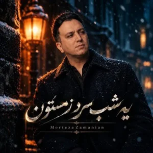 یه شب سرد زمستون