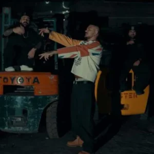 جفت شش