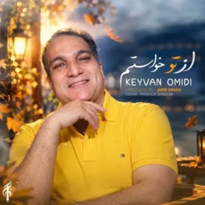 از تو خواستم