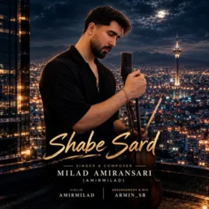 شب سرد